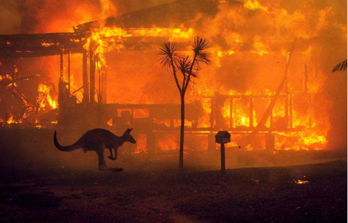 澳大利亚山火再次燃烧,火势已难以扑灭,祸根是4万年前留下的