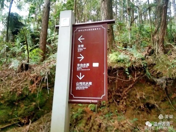 大罗山最佳爬山路线徒步,大罗山经典徒步路线55公里