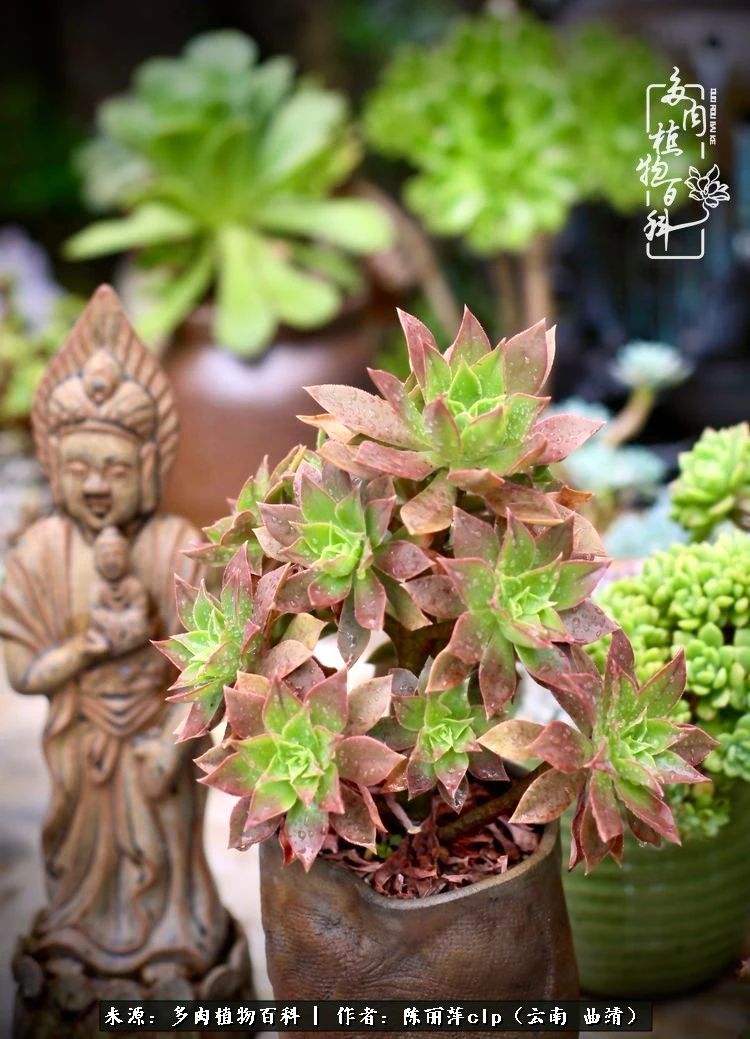 佛系看风景的地方,佛系风景空境视频