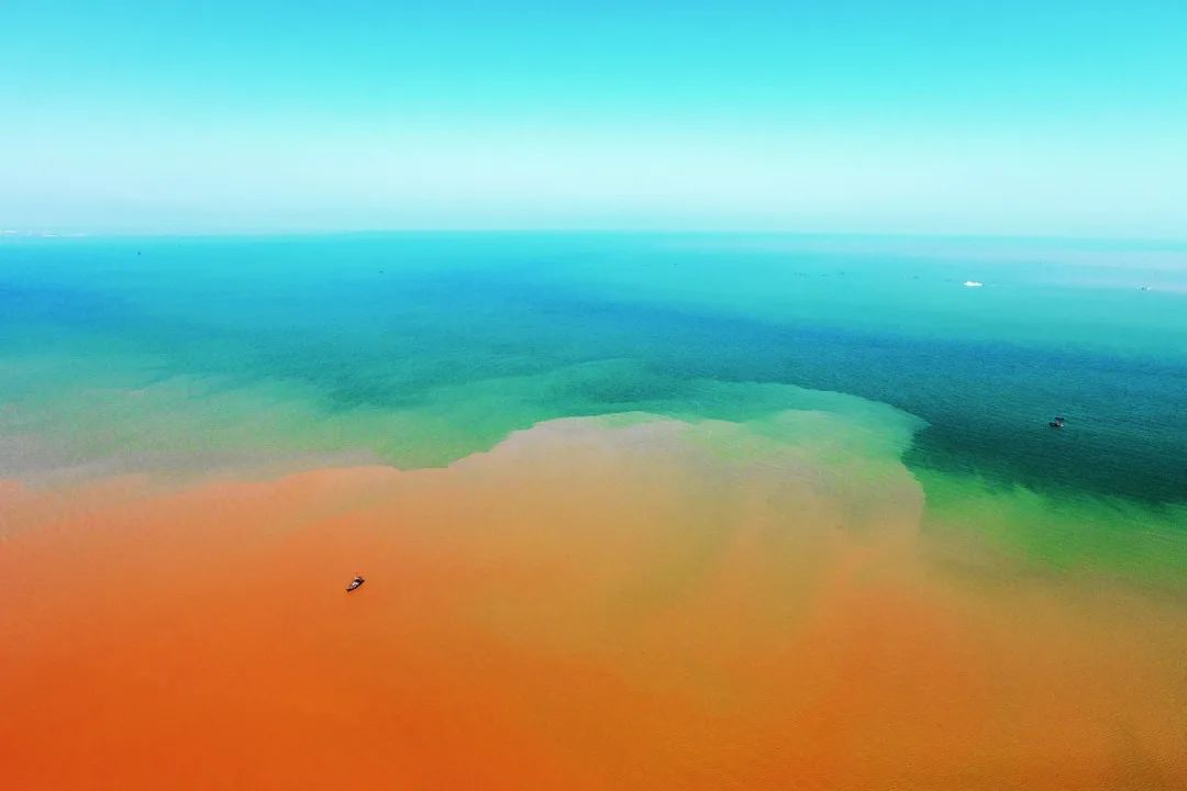 山东这两座小城，集齐了所有令人向往的美景，超级适合自驾！