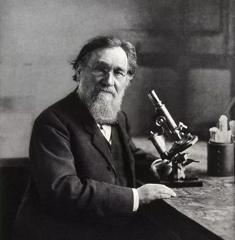 益生菌100年前爆红单品 (最近网上很火的益生菌)