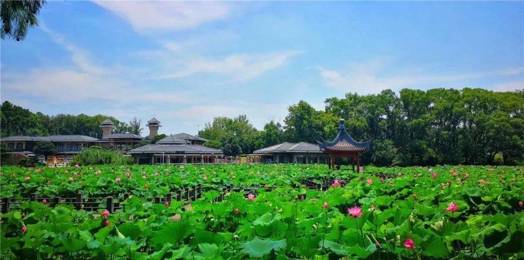 楚风汉韵景点有哪些,徐州楚风汉韵旅游攻略