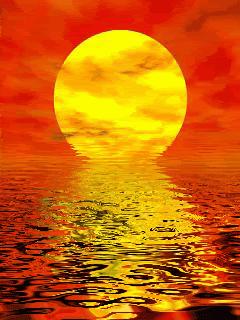 水中花郁可唯简谱动态谱,动态水中花歌词壁纸