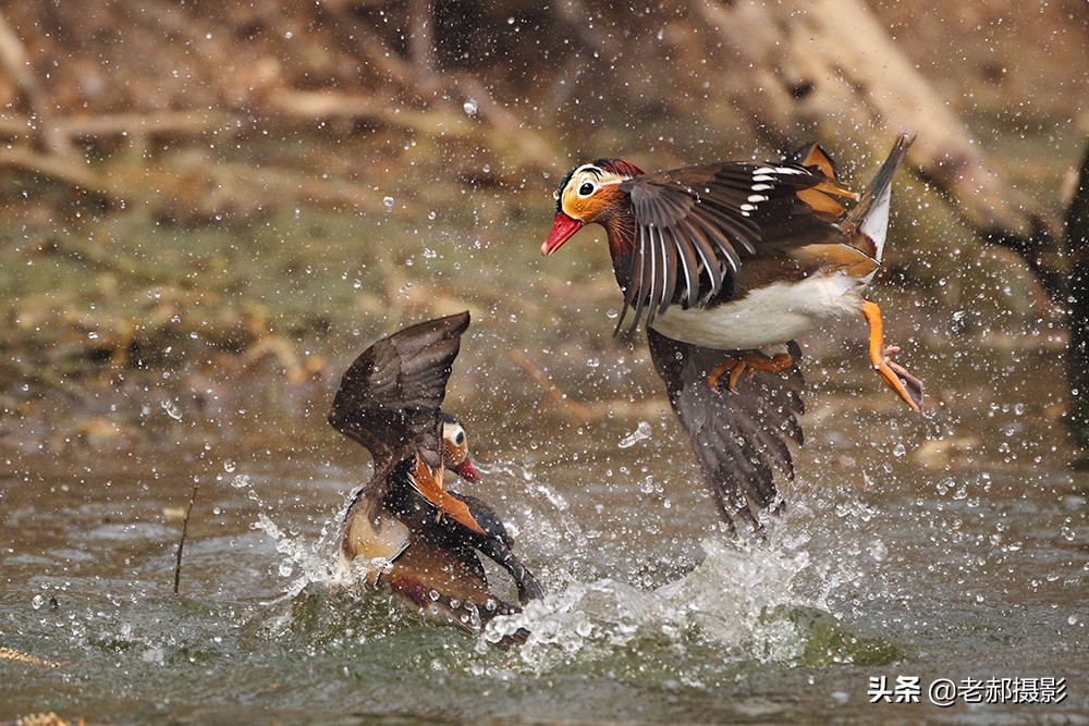 冲冠一怒为红颜讲的是谁,冲冠一怒为红颜的故事