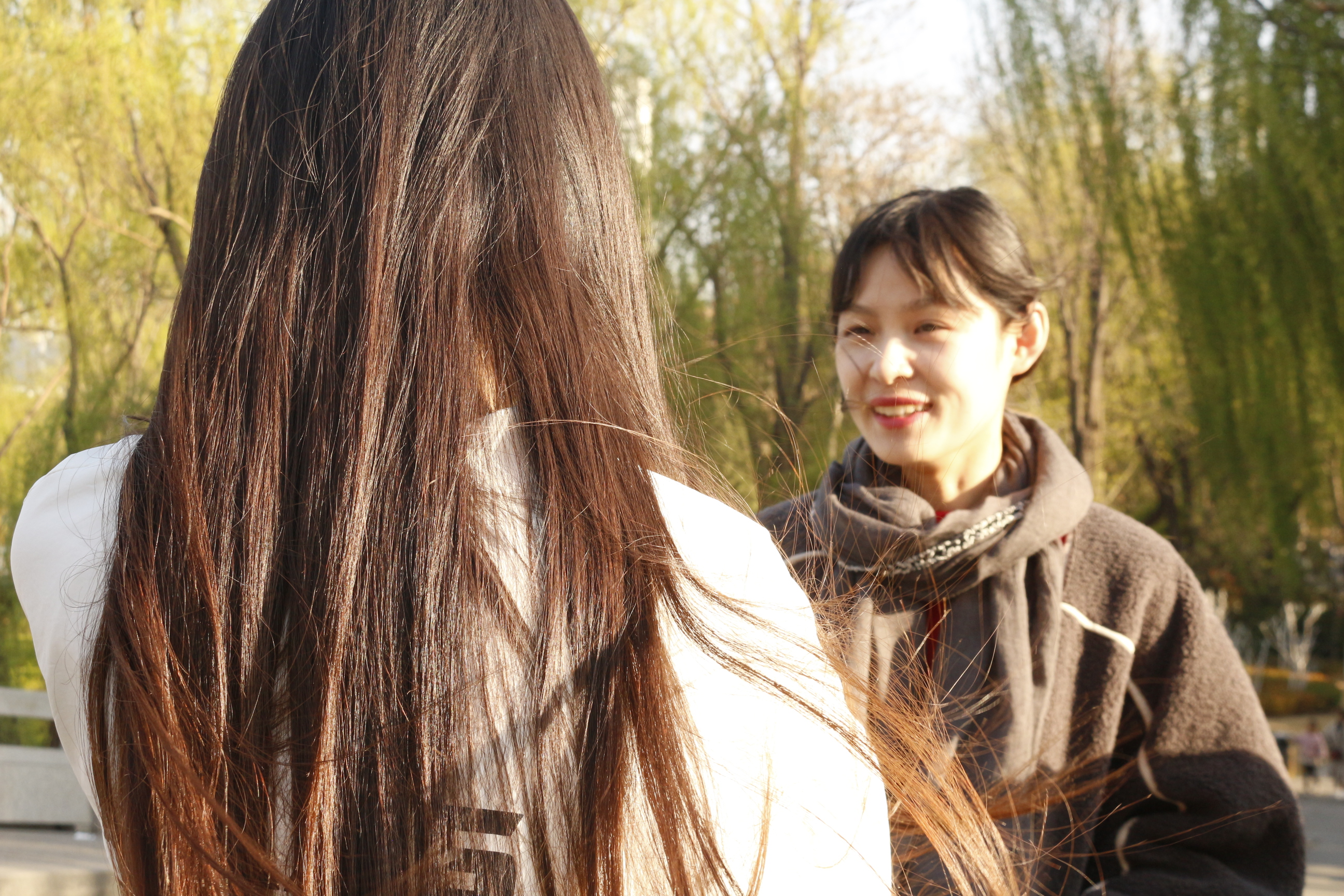 张玉励志讲堂推荐几本热血励志的玄幻小说?掌劈乾坤脚踏苍穹?