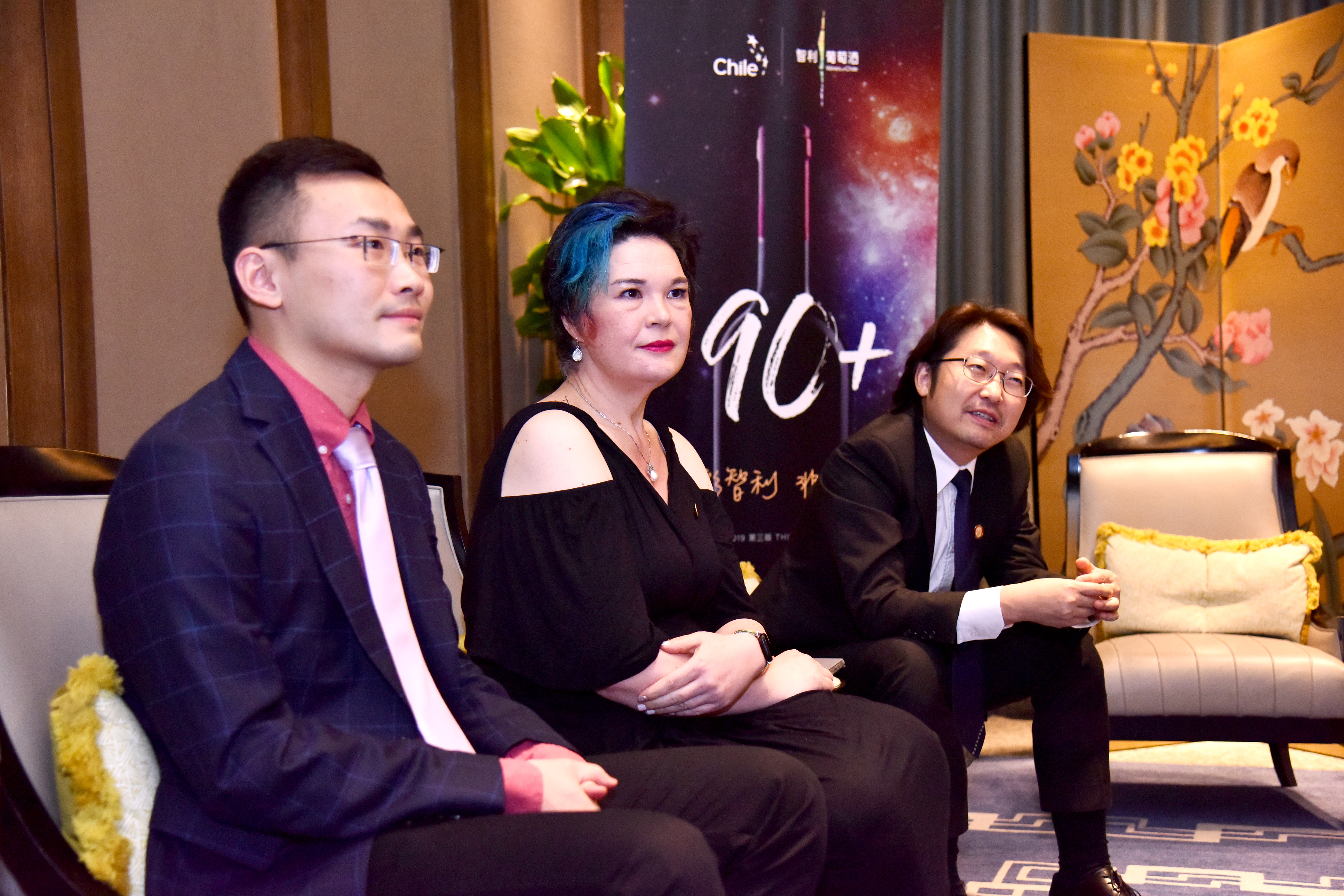 精彩葡萄酒,智利原瓶进口非凡之旅红葡萄酒