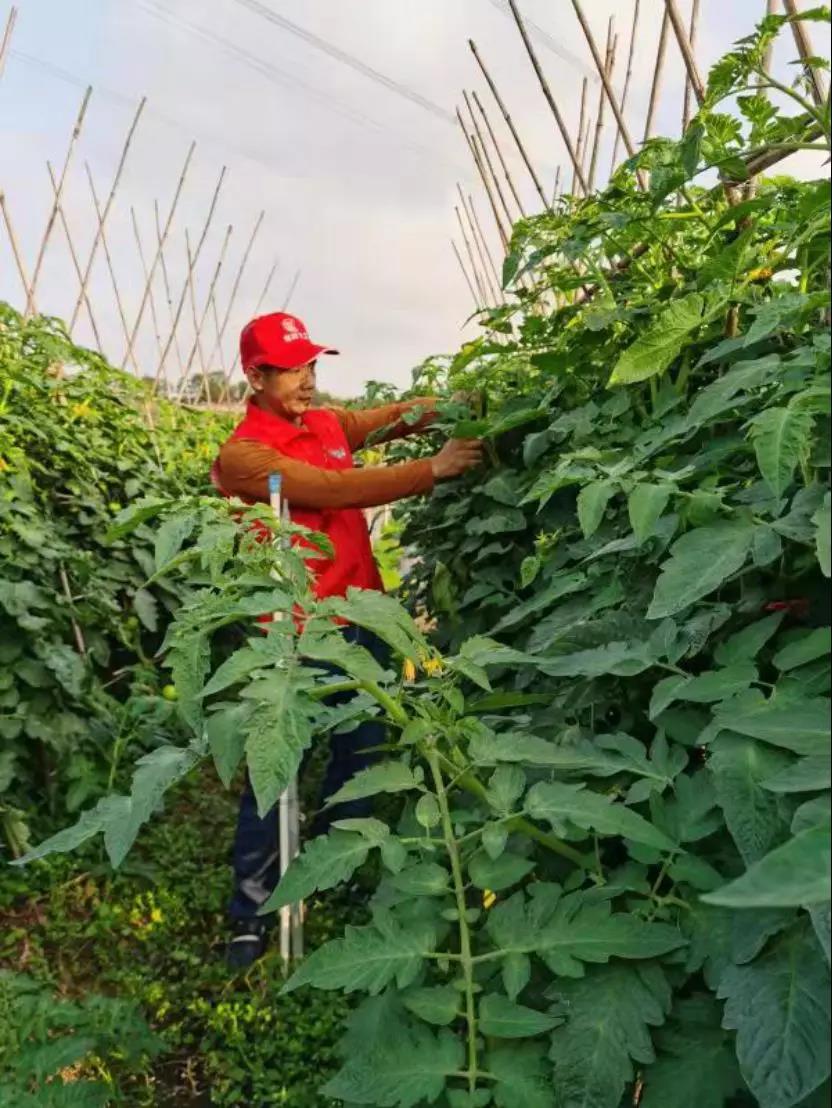 深晚独家|感动深圳100个凡人“疫”事②:他们的守护,你我的心安