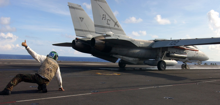 猫咪需要哪些用品,猫迷惑新技能