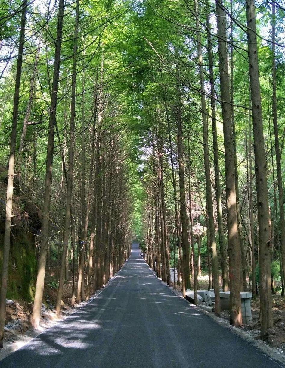 闲坐凉亭、徒步森林、畅快橡皮艇,快来苍溪纳凉避暑~