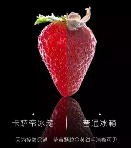 卡萨帝冰箱900价格多少,卡萨帝冰箱3999