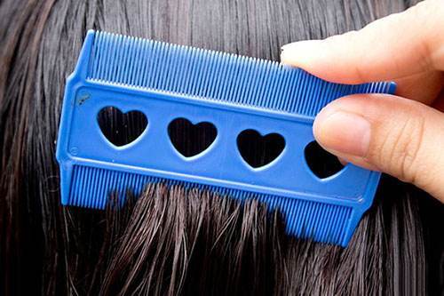 头发上的阴虱,阴虱长在头发上怎么处理