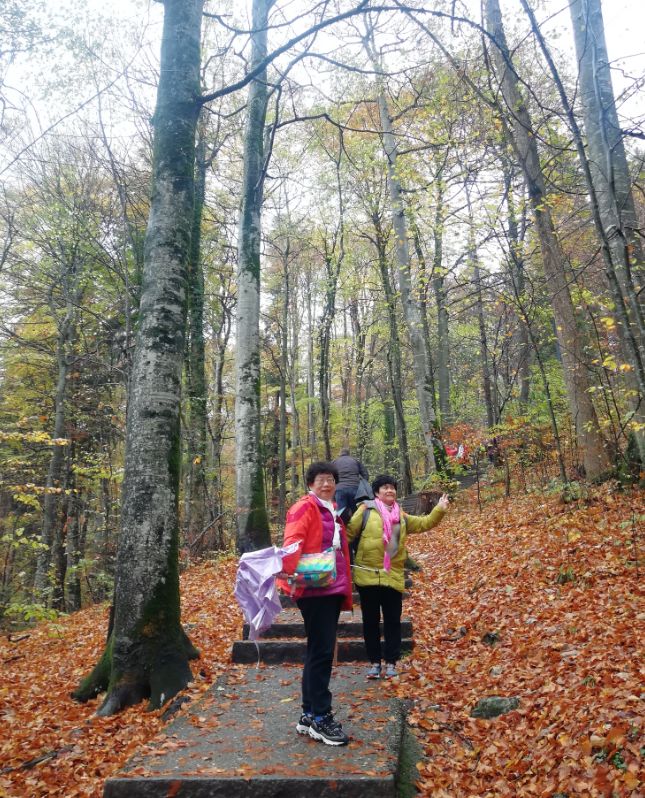 退休旅游推荐2-3天游,退休后旅游自由行攻略