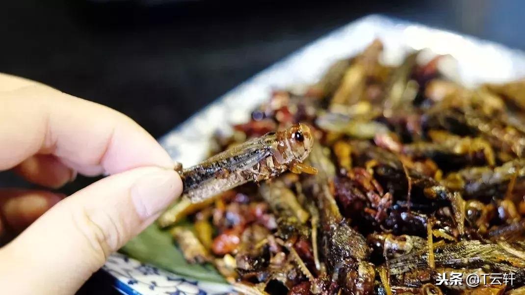 长沙最有名的变态美食,长沙十大变态美食店