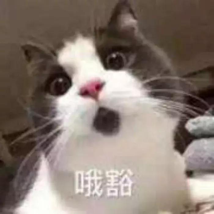 被曝光的网红面膜,被夸上天的神仙面膜怎么样