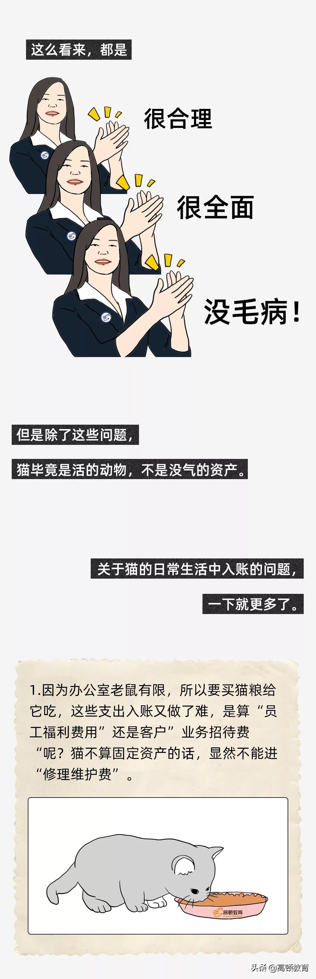 公司买个猫怎么处理,公司买的猫怎么入账