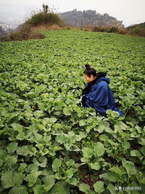 品茶之余，让我们聊一下司空图如何品诗