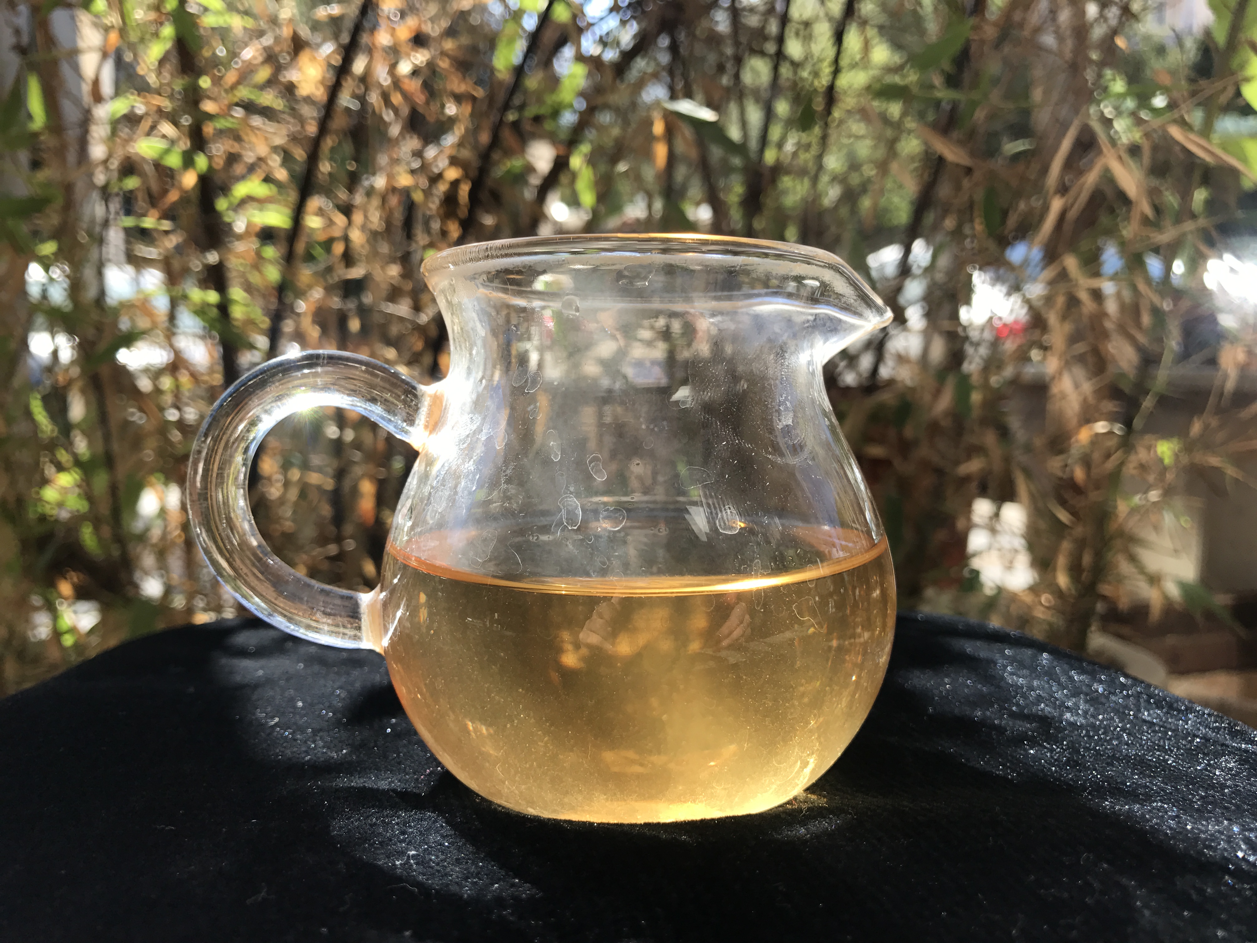 老徐鉴茶第二十一期,老徐鉴茶316期视频