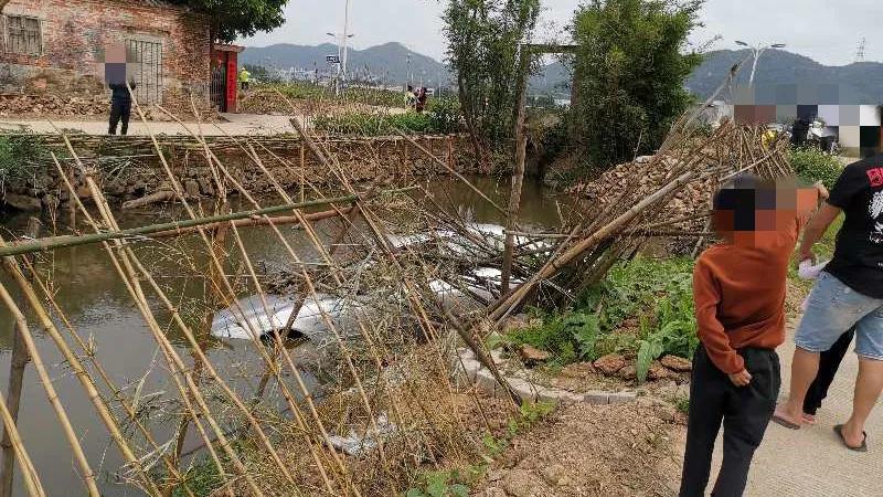 往前开,往鱼塘开!8年驾龄老司机的“翻车”过程