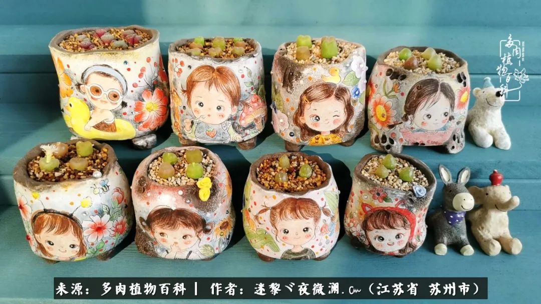 围观多肉版武林大会，一起穿越吧,下