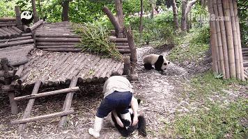 成都freestyle旅游攻略,成都自由行攻略