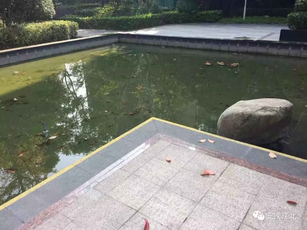 南京江北4号线新楼盘,南京地铁盘怎么样