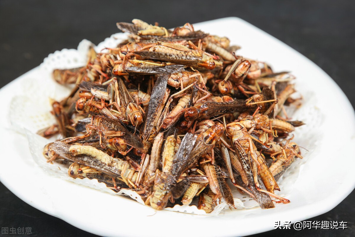 本田汽车和一汽大众哪个好,本田车与大众车哪个耐用