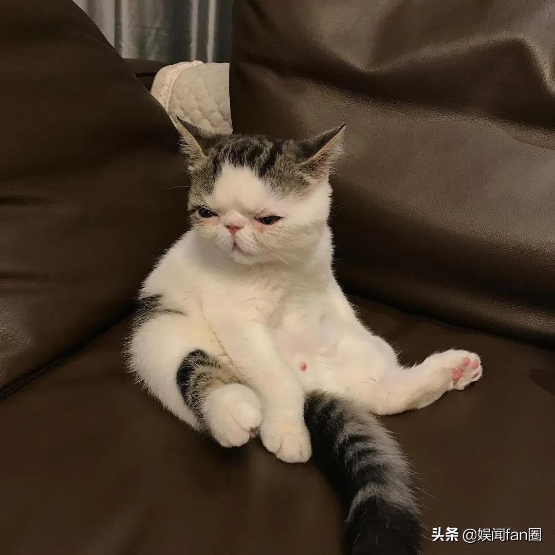 鹿晗关晓彤怎么认识的,热巴鹿晗什么时候认识