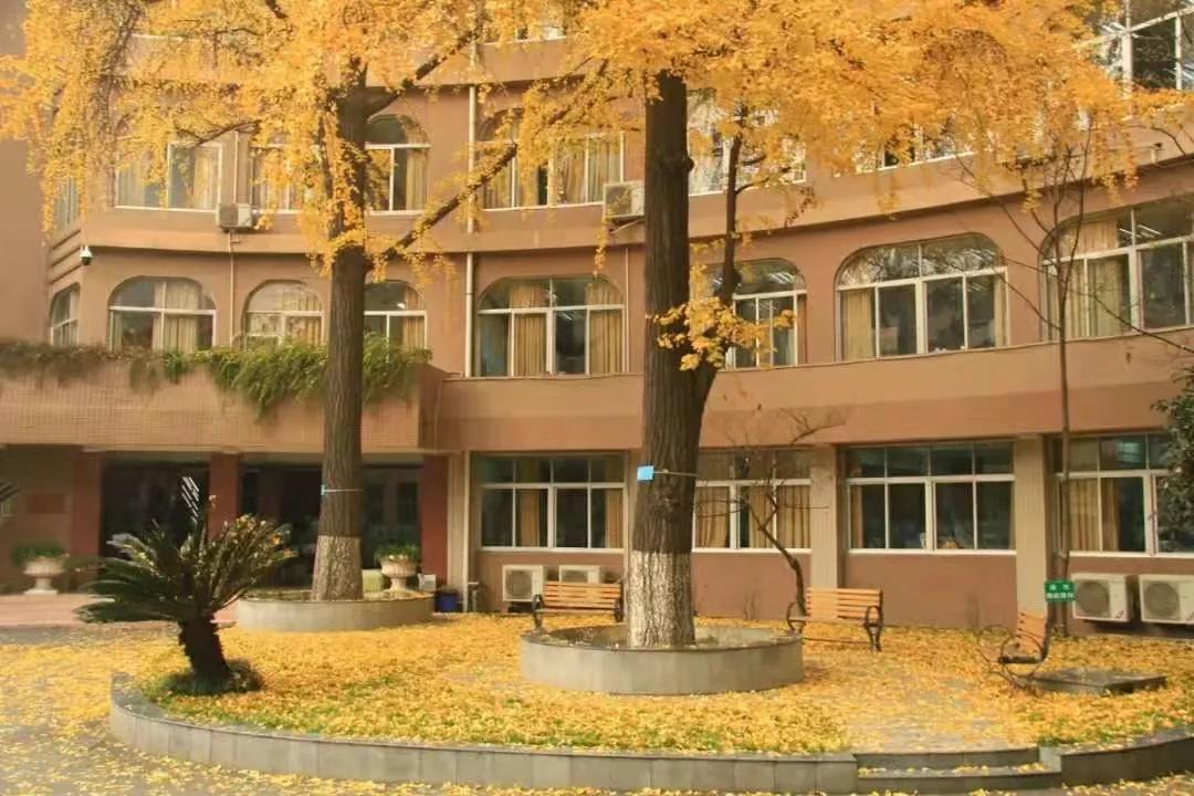 479中学在成都哪个地方,成都锦江区有什么好的高中