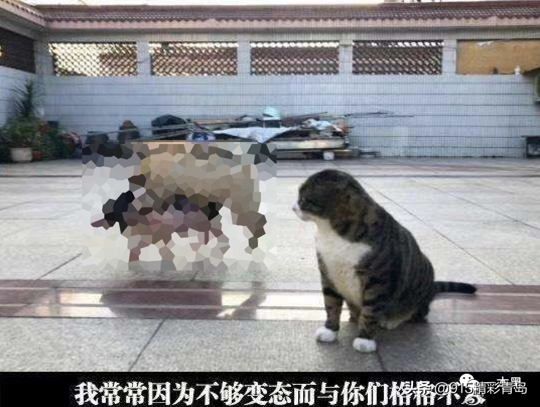 58同城,一个神(垃)奇(圾)的*子骗**集中营?