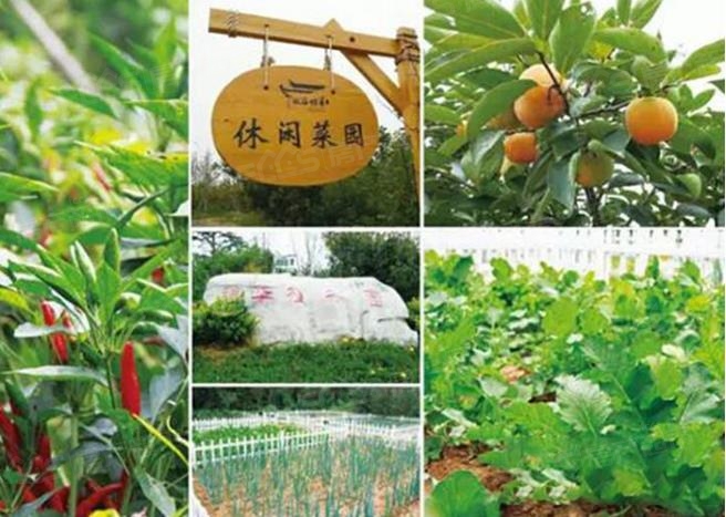 鍚戝線涔嬪,鍚戝線涔嬪瑁呴グ