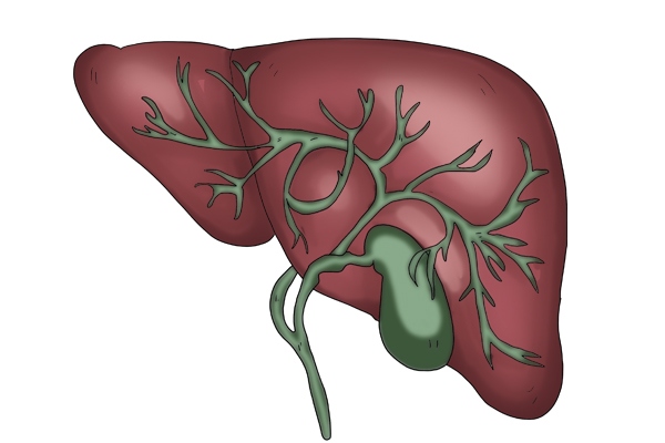 皮肤发黄吃什么维生素,皮肤发黄吃什么蔬菜好