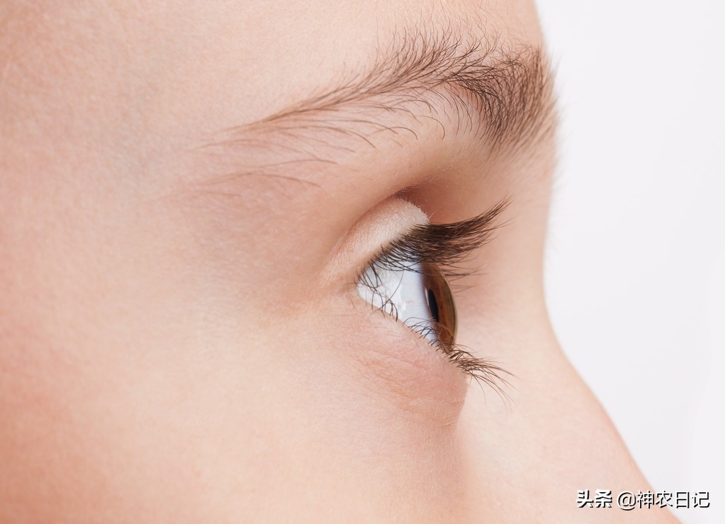 肝火旺目赤肿痛,视物模糊,一个小药方,泻肝火,明目,养肝护肝