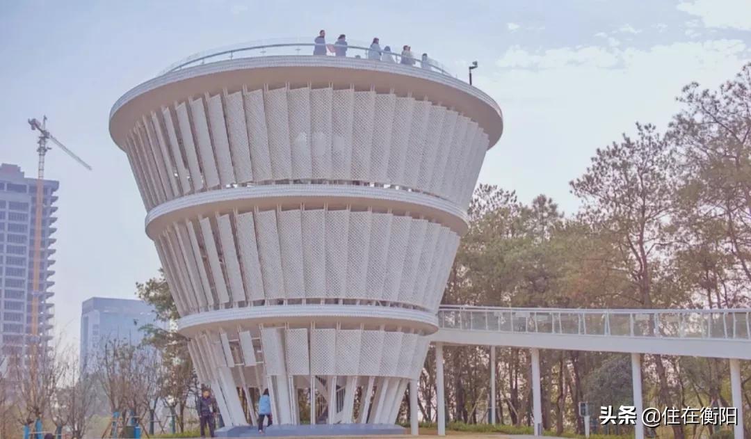 300亿，陆家新区变成什么样了？