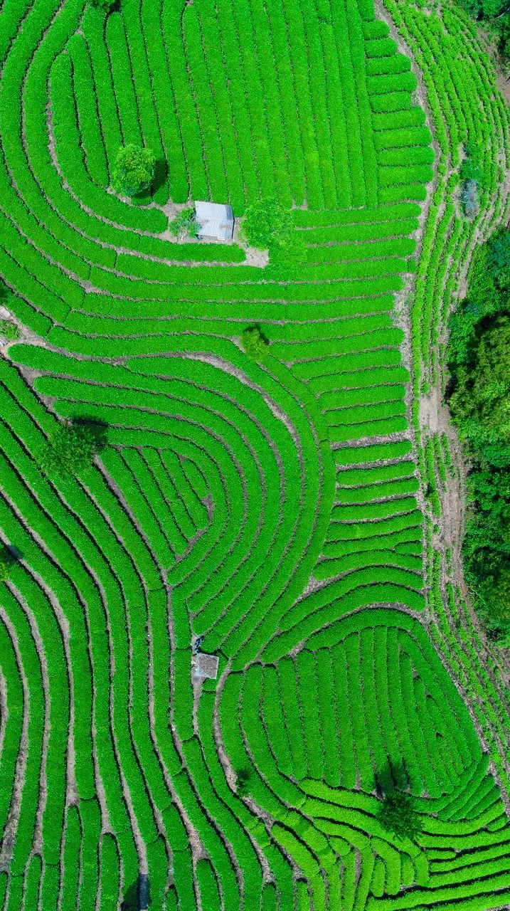 媲美318国道和219国道线路,堪比318美景的国道