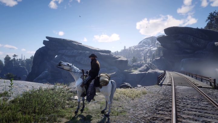 荒野大镖客救赎2新手攻略,荒野大镖客救赎2怎么获取白马