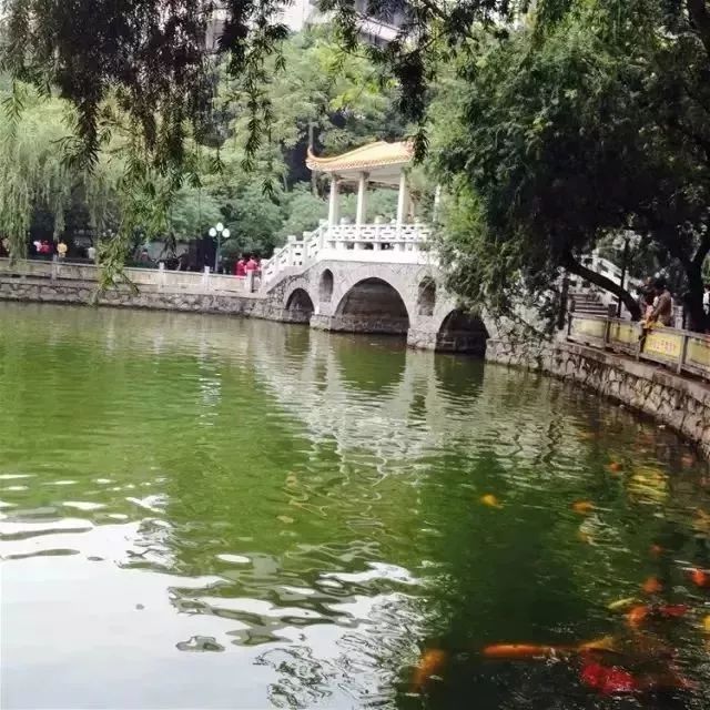 对不起我还是喜欢你,对不起我还是喜欢你日语谐音