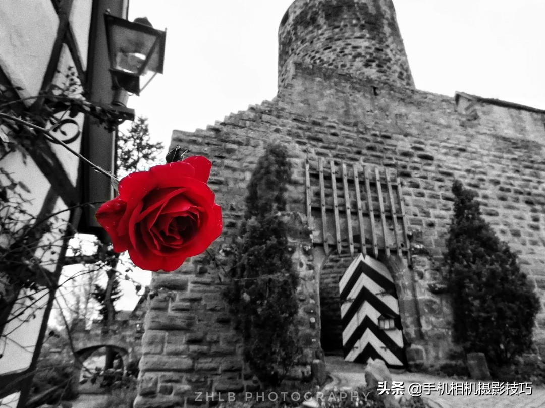 手机拍的照片不清晰怎么能变清晰,手机拍的照片不清晰怎么处理