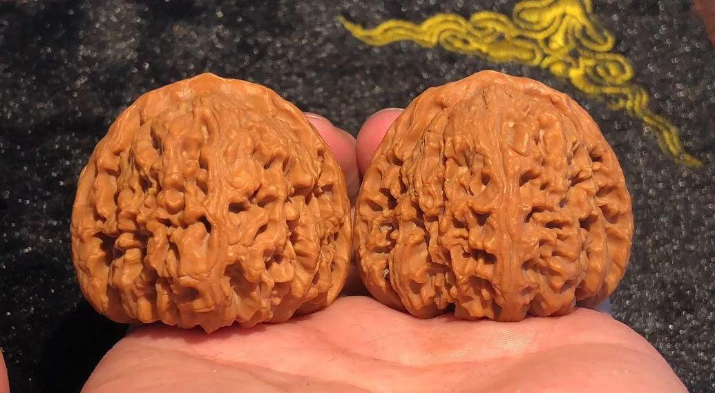 核桃怎么玩步骤,核桃该怎么玩