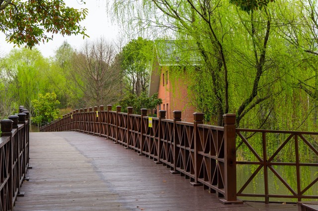 100首春天唯美经典诗词,描写春天花的优美句子诗词