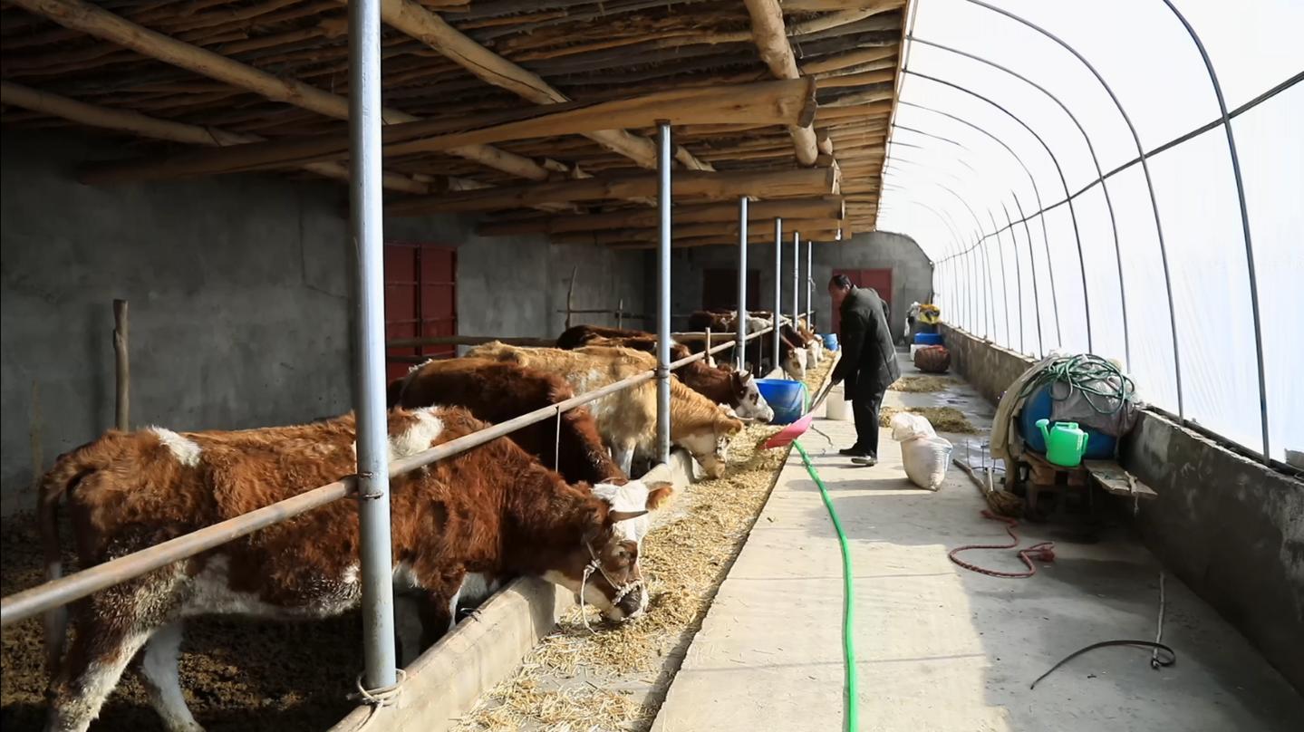 迈好第一步看见新气象,迈好第一步开门红