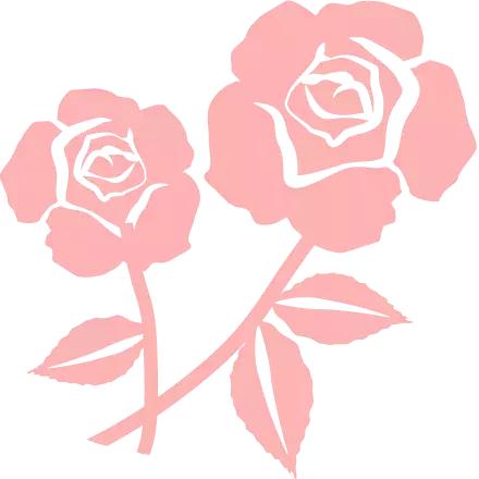 最美基层女警察派出所女所长,最美基层民警派出所女所长