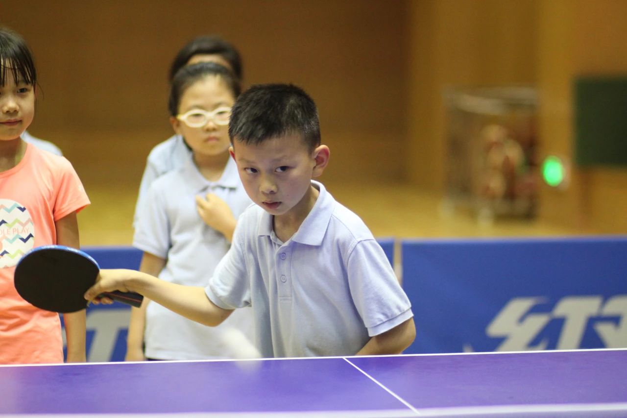 河西区公办小学,南京河西南有哪些好的小学