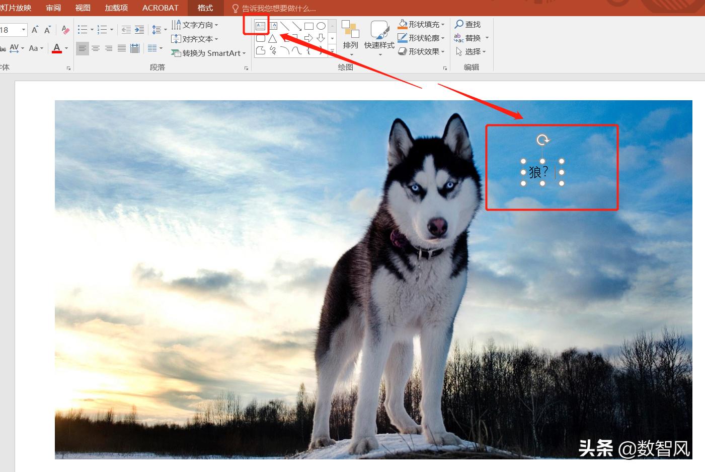 如何给身份证照片加水印和文字,照片加文字简单