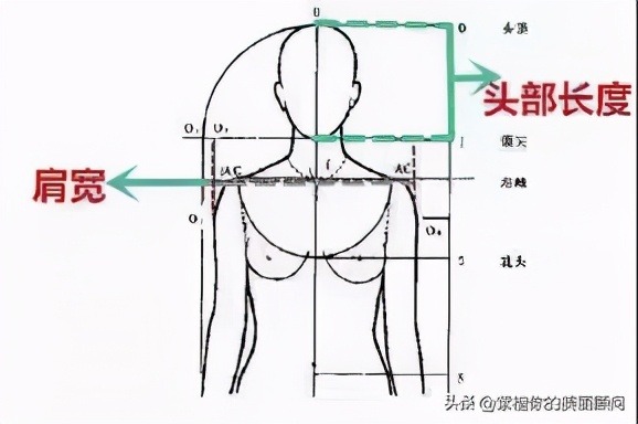 头太大肩太窄,如何让头肩比变好看