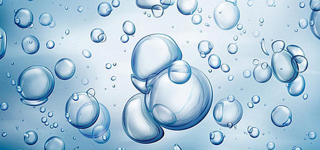 怎么快速了解猫狗粮,宠物到底有没有必要吃宠物粮