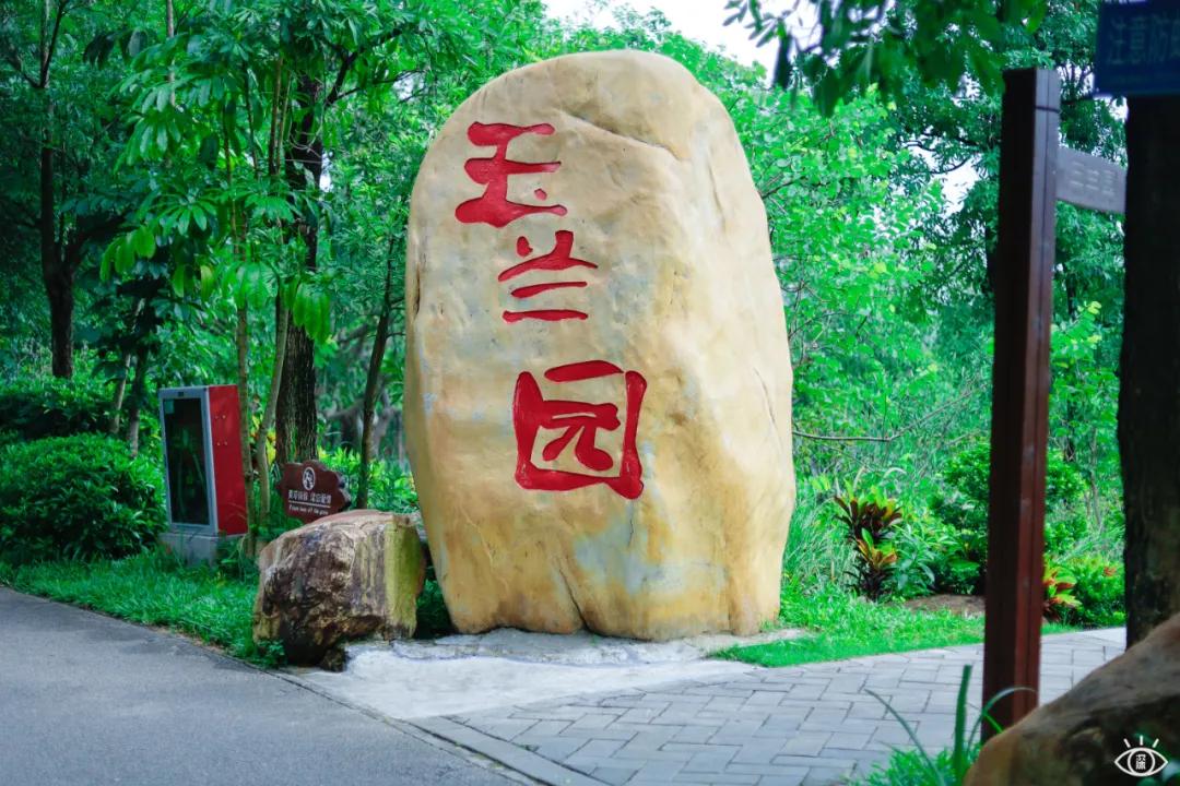 深圳宝藏公园风景图片,深圳宝藏自然游乐区