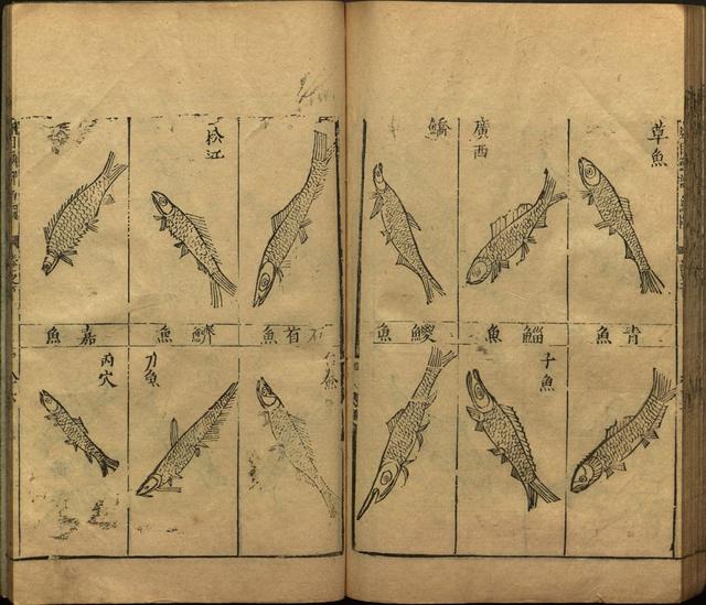 李时珍本草纲目书目录,李时珍本草纲目下卷