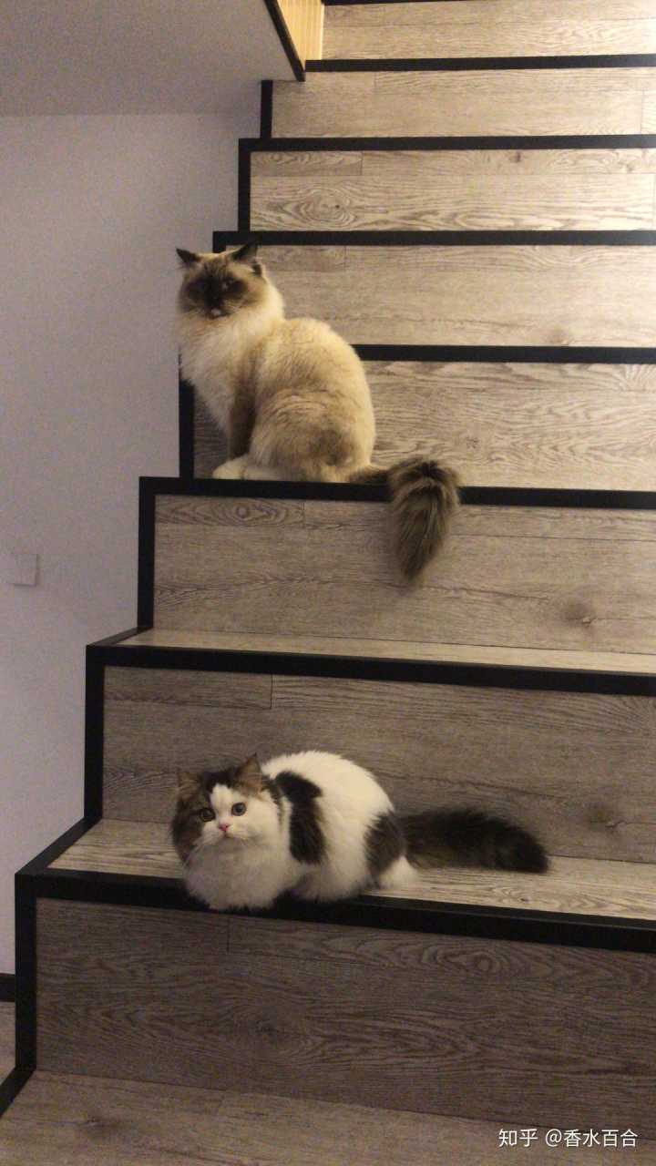 买了高层的人怎么样了,买了顶楼的房子后悔了吗