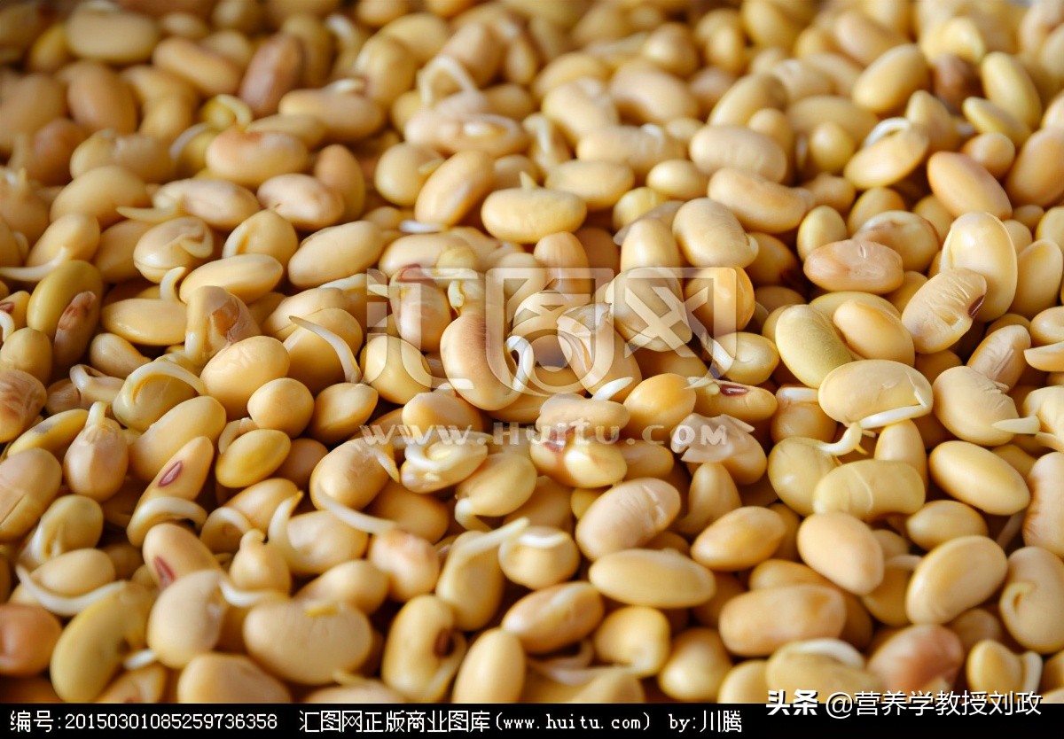 黄豆芽怎么样才能长得快,黄豆芽怎么样才不会发绿