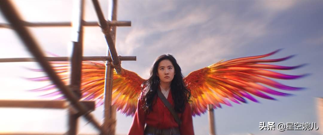 花木兰电影中肯的评价,花木兰电影为什么评分低